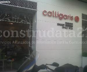 Imagen de obra