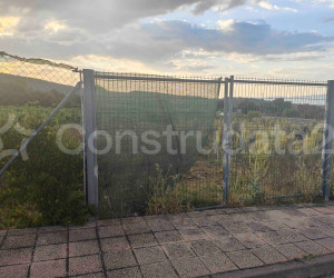 Imagen de obra