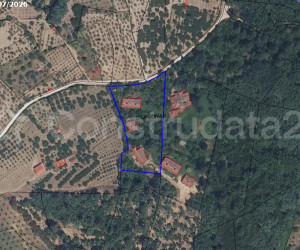 Project picture