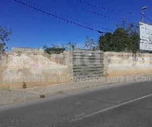 Imagen de obra