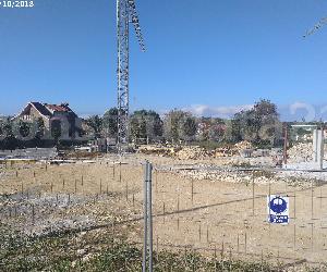 Imagem da obra