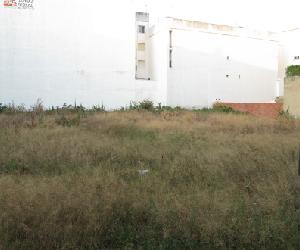 Project picture
