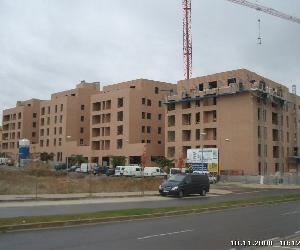 Imagen de obra