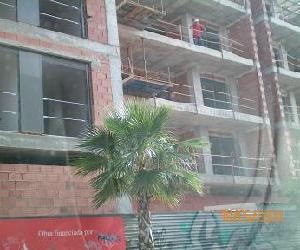 Imagen de obra