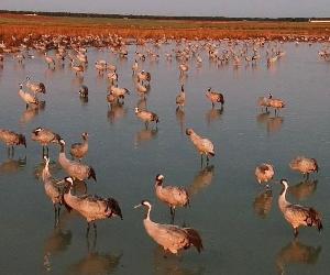 https://www.chduero.es/documents/20126/1562280/2248c294-65fb-47d7-b452-87a0aab58481.jpg/5cdd68e4-a40c-5301-ca36-b7a759d73995?t=1643799505892