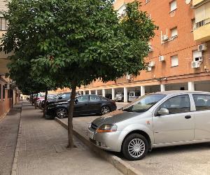 https://www.alcaladeguadaira.es/photo/noticias/6454/1/plan-de-mejora-en-varias-calles-de-rabesa-con-nuevos-pavimentos-accesos-y-saneamiento.jpg?w=1140