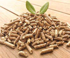 https://www.apropellets.com/wp-content/uploads/2020/10/pellets-de-madera-4-1-scaled-e1602832602999.jpg