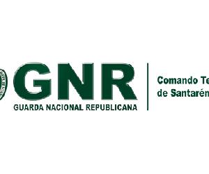 https://www.gnr.pt/mostrarImagem.ashx?a=7&i=8327