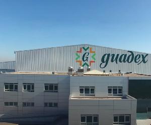 https://www.guadex.es/wp-content/uploads/2020/10/pantalla_video_guadex.jpg