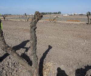 https://www.diariodesevilla.es/2022/01/26/provincia/centro-logistico-Palanquivir-toma-forma_1651045559_150973652_667x375.jpg