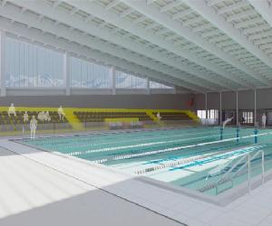 https://www.diarioelpulso.cl/wp-content/uploads/2020/08/PISCINA.jpg