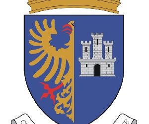 https://www.emfa.pt/paginas/fap/ficheiros/heraldica/ba11brasao1510.png