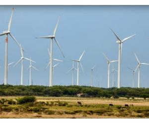 https://www.energias-renovables.com/ficheroenergias/fotos/eolica/ampliada/m/mexico_dzilam_bravo.jpg