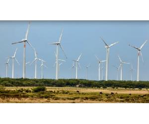 https://www.energias-renovables.com/ficheroenergias/fotos/eolica/ampliada/m/mexico_dzilam_bravo.jpg