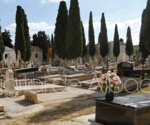 https://www.eldigitaldealbacete.com/wp-content/uploads/2016/10/CEMENTERIO_ARCHIVO_ALBACETE-29-620x330.jpg