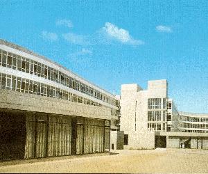 https://www.epdlp.com/fotos/canolasso7.jpg