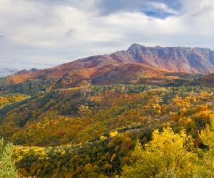 https://www.escapadarural.com/blog/wp-content/uploads/2016/02/Montseny-5-1-680x454.jpg