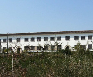 https://www.expressodeamarante.pt/wp-content/uploads/2020/10/escola-torreira-678x381.jpg