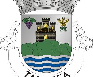 https://www.heraldry-wiki.com/arms/websites/Portugal/www.fisicohomepage.hpg.ig.com.br/images/TRC.gif