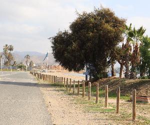 https://www.mazarron.es/export/sites/mazarron/es/ayuntamiento/.content/imagenes/02-11-22-PASEO-ALAMILLO-4.JPG