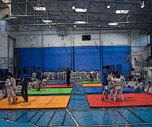 https://www.sportaragon.com/wp-content/uploads/2015/05/judo_binefar_portada_torneo_villa.jpg