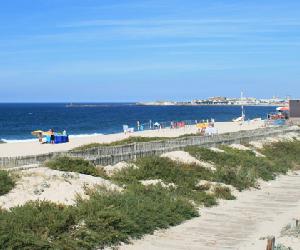 https://www.playocean.net/i/portugal/beaches/vila-do-conde/arvore/praia-de-arvore-4.jpg