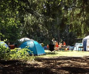 https://www.radiointerior.es/wp-content/uploads/2020/12/ninos-en-un-campamento.jpg