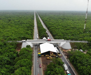 https://www.reportur.com/wp-content/uploads/2020/06/trenmaya3.jpg
