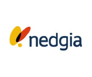 https://www.todoluzygas.es/companias/nedgia/_jcr_content/root/headline-image/image.coreimg.jpeg/1669652667729/nedgia-detail.jpeg