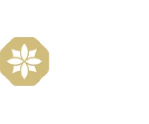 https://www.viseunovo.pt/assets/img/logo.png