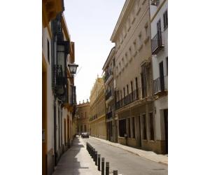 https://archivos.wikanda.es/sevillapedia/thumb/Sevilla_calle_san_vicente_2.jpg/180px-Sevilla_calle_san_vicente_2.jpg