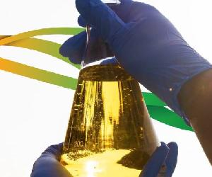 https://cibiogas.org/wp-content/uploads/2022/11/4-BLOG-1-800x403.jpg