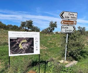 https://cm-tavira.pt/site/wp-content/uploads/2023/11/IMG-20231115-WA0013_net.jpg