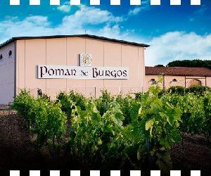https://deliciasburgos.es/blog/wp-content/uploads/2016/09/bodega-pomar-de-burgos-en-deliciasburgos-700x350.jpg