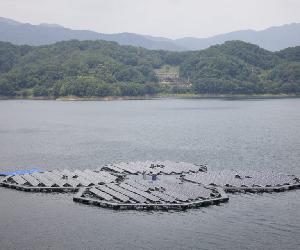 https://elperiodicodelaenergia.com/wp-content/uploads/2020/11/Planta-de-fotovoltaica-flotante-Hapcheon-Dam-Corea-del-Sur-Q-Cells-960x640.jpg