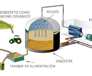https://gruposanchiz.es/wp-content/uploads/2016/10/esquema-de-una-planta-de-biogas-2.png