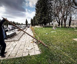 https://i.promecal.es/IMG/2021/9306CDA1-EFE4-616F-FDDECFEB7CB3214C.JPG