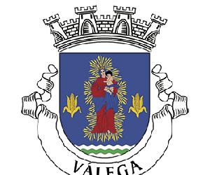 https://i0.wp.com/www.jf-valega.pt/wp-content/uploads/2015/07/valegabrasao_web.png?fit=350,393