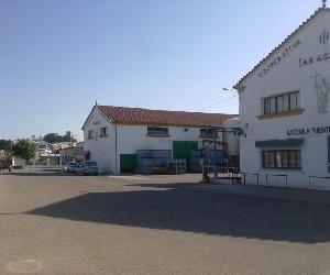 https://imagenes.forociudad.com/fotos/207981-cooperativa-vitivinicola-san-acacio.jpg