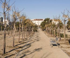 https://imagenes.heraldo.es/files/image_990_v1/uploads/imagenes/2019/07/07/el-parque-de-los-prados-de-utebo-se-va-a-ampliar-en-los-proximos-dos-meses.jpeg