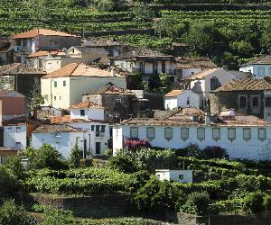 https://jf-vilarinhodosfreires.pt/wp-content/uploads/2016/09/4-2.jpg