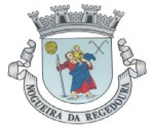 https://jf-nregedoura.com/wp-content/uploads/2014/05/brasao_ampliado-150x150.jpg