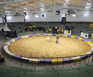 https://marcacanaria.com/wp-content/uploads/2021/10/campo-de-lucha-canaria-1024x681.jpeg