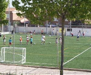 https://media.pistaenjuego.ovh/images/center/3/4/3/l.club-deportivo-el-alamo-3_1348225343.jpg
