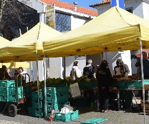 https://mercados.sintra.pt/images/mercados/MercadoProdutoresEstefania/mercadoprod-ext.jpg