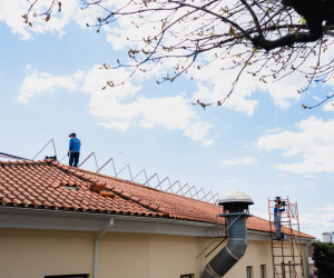 https://mutualistadacovilha.pt/wp-content/uploads/2025/04/AMC05006-2-1536x1024.jpg