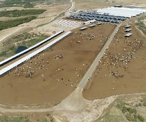 https://odieta.net/wp-content/uploads/2021/05/Aerea-Granja.jpg