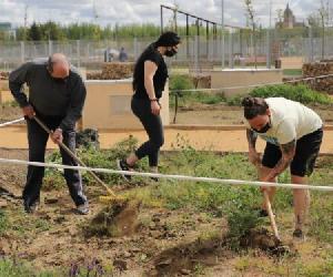 https://salamancadiario.com/wp-content/uploads/2022/03/Alcalde-visita-los-Huertos-urbanos-15-750x375.jpg