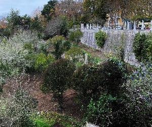https://sintranoticias.pt/wp-content/uploads/2020/11/vala-da-raposa.jpg