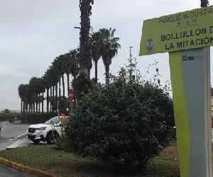 https://static4-sevilla.abc.es/media/provincia/2022/04/05/s/pibo-ampliacion-bollullos-U88452653760FzC-620x349@abc.jpg
